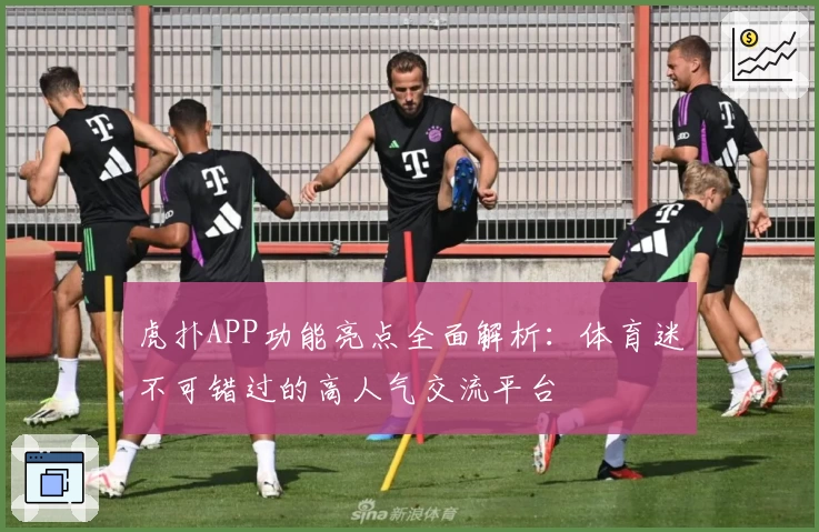 虎扑APP功能亮点全面解析：体育迷不可错过的高人气交流平台