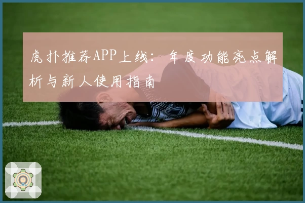 虎扑推荐APP上线：年度功能亮点解析与新人使用指南